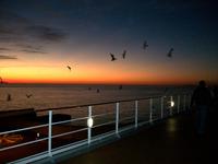 Abendstimmung auf der MSC 