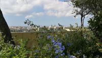 Blick auf Floriana