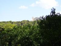 Buskett Garden
