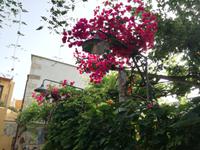 Chania, Kreta