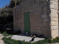 DSCN0096