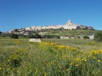 DSCN0134 Mdina