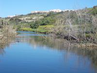 DSCN0160