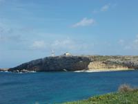 DSCN0193