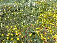 DSCN0234