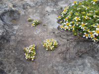 DSCN0237