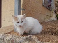 DSCN0377