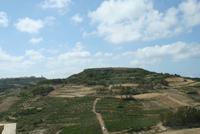 Das grüne Gozo