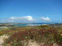 Die Mellieha Bay.