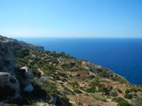 Dingli-Klippen