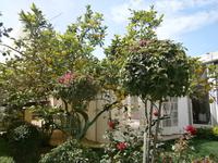 Gartenanlagen