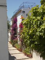Ibiza
