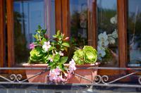 Impressionen