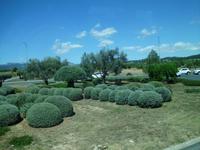 Inselrundfahrt Mallorca