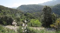 Korsika -