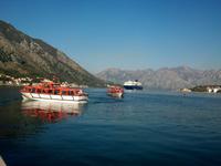 Kotor