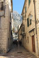 Kotor