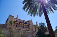 Mallorca - Kathedrale