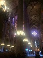Mallorca - Kathedrale