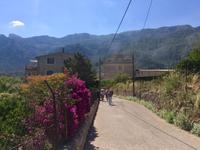 Mallorca - Soller