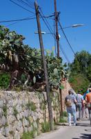 Mallorca - Soller