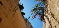 Malta - Mdina