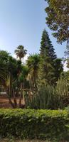 Malta - San Anton Gardens bei Attard
