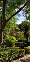 Malta - San Anton Gardens