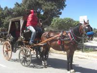 Mdina