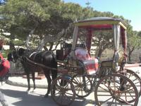 Mdina
