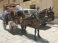 Mit der Kutsche kann man ganz entspannt durch Mdina fahren