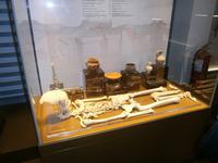 Museum 