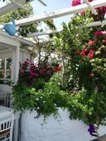 Mykonos