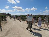 Panoramafahrt in den Norden Maltas - Limestone Heritage
