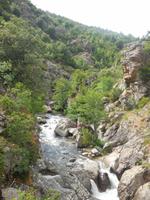 Prunelli-Schlucht