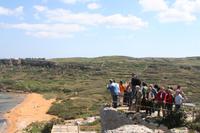 Ramla Bay, Gozo