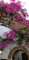 Rhodos - Spaziergang durch die engen Gassen von Lindos