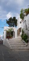 Rhodos - auf dem Weg zur Akropolis von Lindos 