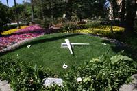 San Anton Garden