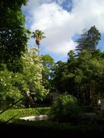 San Anton Garden