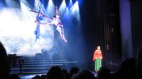 Show Magie des Musicals