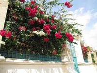 Stadtrundgang Rabat
