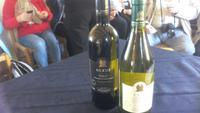 Ta Qali, Weingut Meridiana, Wein- und Käseverkostung