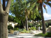 Upper Barracca Garden