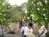 Valletta