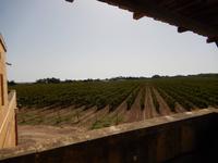 Weingut Meridiana