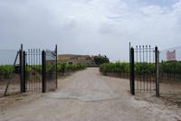 Weingut Meridiana