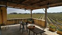 Weinverkostung Meridiana Wine Estate
