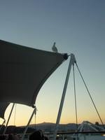 auf dem Schiff