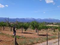 im Weingut